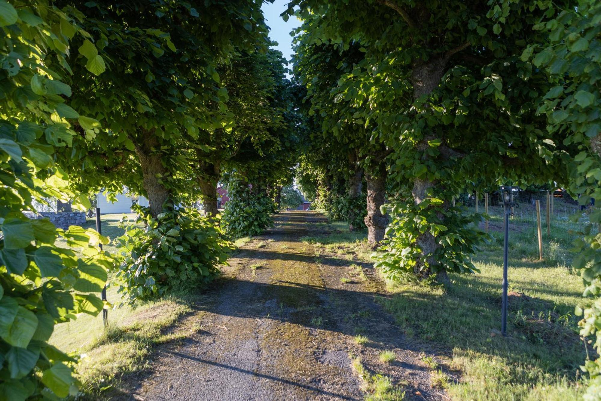 Dal Gjestegaard Skoppum Exterior foto